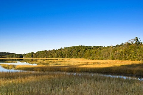 Lake scenery in Wiscasset, Maine, New England, USA