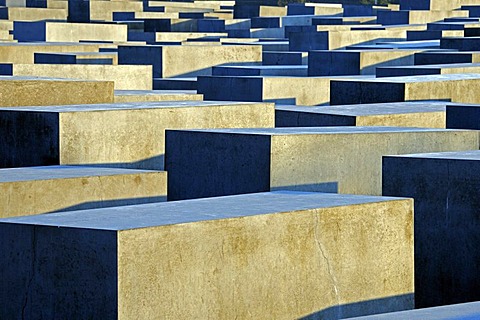 Concrete pillars of the Holocaust Memorial at sunrise, Memorial to the Murdered Jews of Europe, architect Peter Eisenman, Tiergarten district, Mitte, Berlin, Germany, Europe