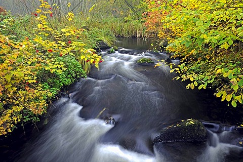 Stobber stream in Maerkische Schweiz Nature Park, Buckow, Brandenburg, Germany, Europe