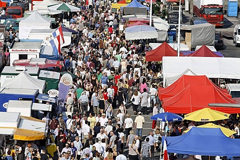 Crowd between stalls, fish market, Tonhallenufer, Duesseldorf, North Rhine-Westphalia, Germany, Europe