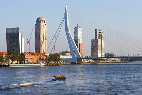 Erasmusbrug bridge and Kop van Zuid district on the Meuse or Maas River, Rotterdam, Holland, the Netherlands, Europe