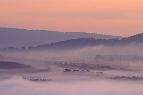 Fog in the Elbe Sandstone Mountains, Saxony, Germany, Europe