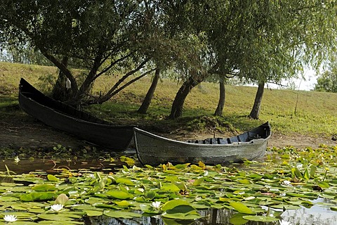 Danube Delta, Romania, Europe