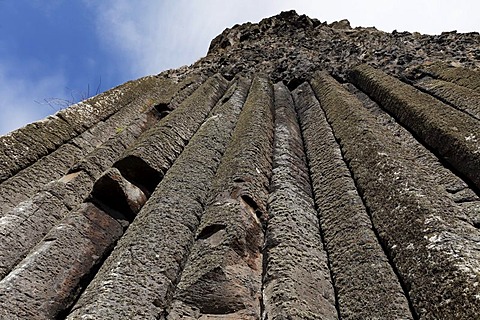 The Organ, organ-pipes, basaltic columns, Giant's Causeway, Causeway Coast, County Antrim, Northern Ireland, United Kingdom, Europe