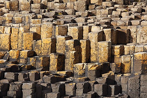 Basaltic columns, Giant's Causeway, Causeway Coast, County Antrim, Northern Ireland, United Kingdom, Europe