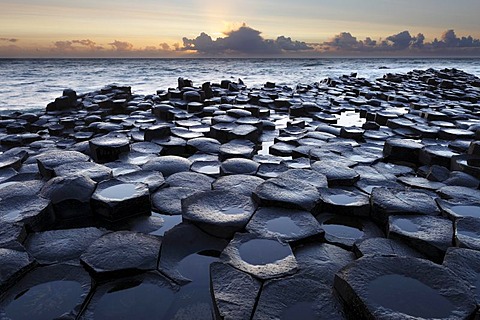 Basaltic columns, Giant's Causeway, Causeway Coast, County Antrim, Northern Ireland, United Kingdom, Europe