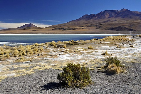 Lagoon on the Altiplano high plateau, border of Chile and Bolivia, South America