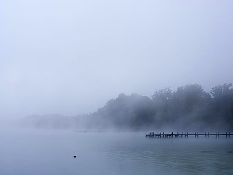 Morning fog at Worthsee lake, Bavaria, Germany, Europe