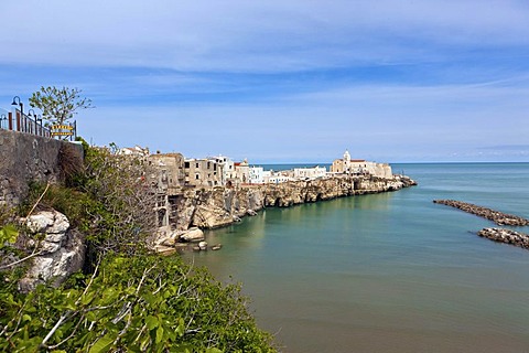 Historic town centre of Vieste, with the Cathedral of Vieste at the rear, Gargano, Foggia, Apulia, Puglia, Southern Italy, Italy, Europe