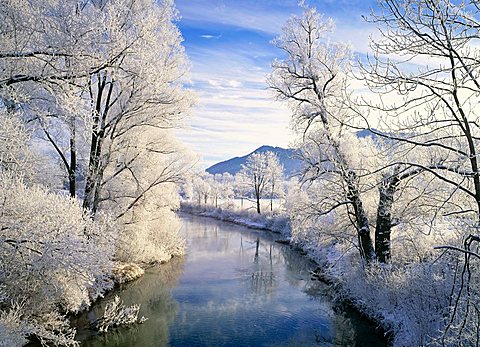 Hoar frost above the river Loisach near Penzberg in front of the Blomberg, Upper Bavaria, Germany, Europe