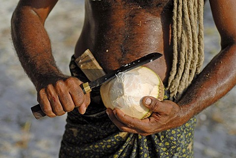 Man cutting a coconut, Bangaram island, Laccadives, Lakshadweep, Arabian Sea, southern India, Asia