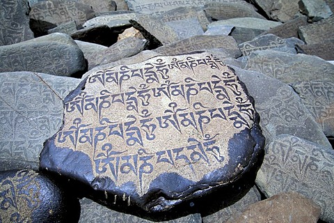 Prayer stone with the widespread Buddhist mantra Om Mani Padme Hum on it, Zanskar valley, Zanskar, Ladakh, Jammu and Kashmir, Indian Himalayas, northern India, India, Asia