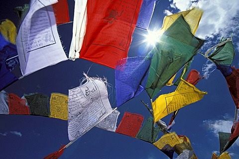 Prayer flags, Sengge-La, Zanskar, Ladakh, Indian Himalayas, Jammu and Kashmir, northern India, India, Asia