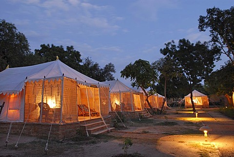 Tents, illuminated from the inside, Royal Jodhpur Camp in Mool Sagar, heritage hotel and pleasure gardens of the Maharajas of Jodhpur near Jaisalmer, Thar Desert, Rajasthan, North India, India, Asia