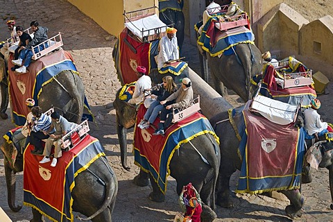 Tourists riding elephants, Amber Fort, Jaipur, Rajasthan, India, Asia