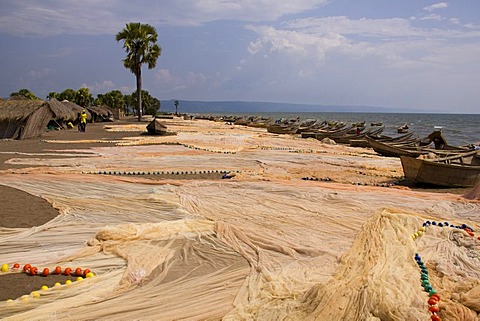 Fishing boats on the shores of Lake Albert, fisher village of Butiaba, North Uganda, Africa