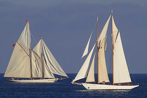 Sailing regatta during the Monaco Classic Week 2011 with historic sailing yachts, Monaco, Cote d'Azur, Mediterranean, Europe