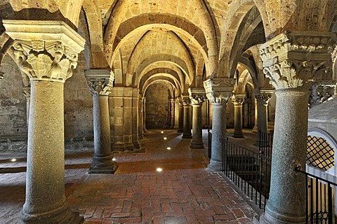 Column capitals in the underground pillared hall of the pagan crypt, 10th century, Cathedral of St. Sepulchre, Basilica Cattedrale di San Sepolcro, Aquapendente, Lazio, Italy, Europe