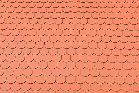 Biberschwanz roofing tiles