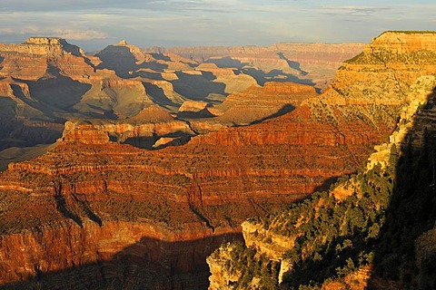 View of Vishnu Temple at sunset from Yavapai Point, Desert Palisades, Wotan's Throne, Comanche Point, evening light, Grand Canyon National Park, South Rim, Arizona, USA