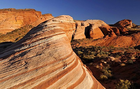 Fire Wave rock formation, wave of banded and eroded Aztec sandstone rocks, Sleeping Lizard rock formation in the back, Valley of Fire State Park, Nevada, United States of America, USA