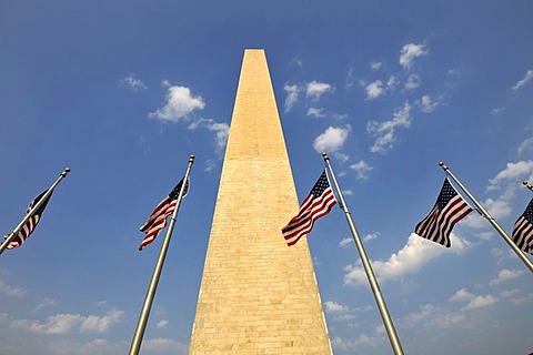 U.S. flags in front of the Washington National Monument, obelisk, Washington DC, District of Columbia, United States of America, PublicGround