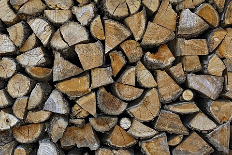 Wood pile, Bauernhausmuseum Amerang farmhouse museum, Amerang, Bavaria, Germany, Europe