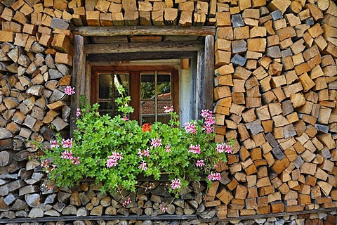 Wood pile built around a window framed by Geraniums (Pelargonium), Bauernhausmuseum Amerang farmhouse museum, Amerang, Bavaria, Germany, Europe