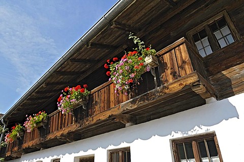 Balcony with scented geraniums (Pelargonium), Bernoeder Hof farm, Bauernhausmuseum Amerang farmhouse museum, Amerang, Bavaria, Germany, Europe