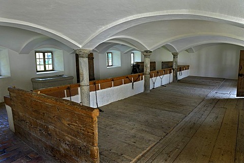 Cowhouse, Bernoeder Hof farm, Bauernhausmuseum Amerang farmhouse museum, Amerang, Bavaria, Germany, Europe