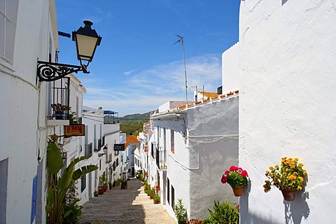 Alleyway in the town of Frigiliana, Andalusia, Spain, Europe