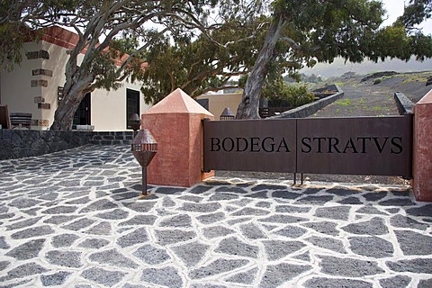 Stratvs Wine Cellar in La Geria, where wine is grown in full volcanic ash, a production that is unique in the world, Lanzarote, Canary Islands, Spain, Europe