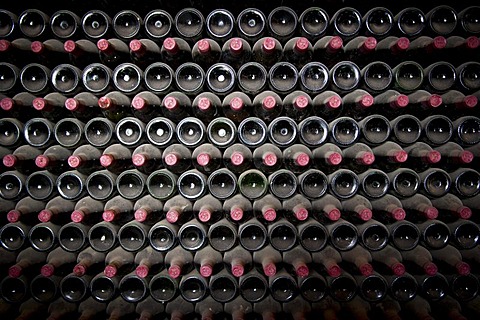 Wine bottles in Museum of Wine in La Geria, where wine is grown in full volcanic ash, a production that is unique in the world, Lanzarote, Canary Islands, Spain, Europe