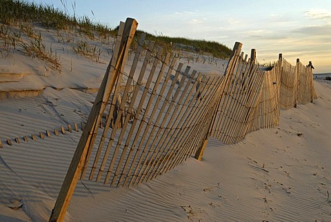 A sand fence illuminated by warm evening light, in Dennis at Cape Cod Bay, Massachusetts, USA