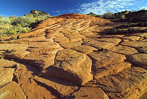 Sandstone pattern in Snow Canyon State Park near St. George in southern Utah, USA