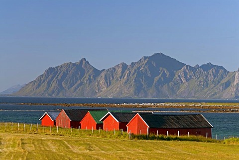 Five red huts at the coast near Straumnes with steep mountains at back, Lofoten, Nordland, Norway, Europe