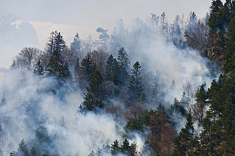 Forest fire in the Karwendel region near Innsbruck, Tyrol, Austria