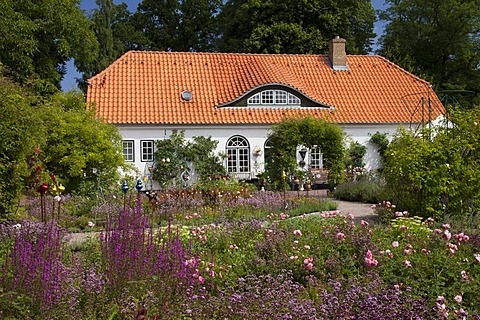 Botanical garden, Gluecksburg Castle, Flensburg Fjord, Schleswig-Holstein, Germany, Europe