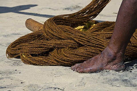 Fisherman fishing the traditional way, in a small village at the coast around Varkala, Kerala, India, Asia