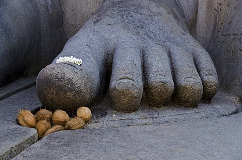 Coconuts and flowers as offerings at the feet of the gigantic statue of Gomateshwara in Sravanabelagola, Karnataka, India, Asia