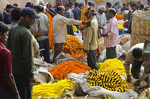 The 125-year Kolkata Flower Market, eastern India's largest flower market, Kolkata, West Bengal, India, Asia