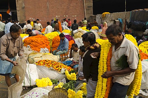 The 125-year Kolkata Flower Market, eastern India's largest flower market, Kolkata, West Bengal, India, Asia