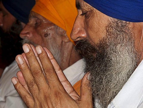 Sikh devotee praying at the entrance into the Golden Temple Complex, Amritsar, Punjab, India, Asia