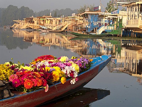 Flowers are sold from a Shikara, traditional boat on Dal Lake, Srinagar, Jammu and Kashmir, India, Asia