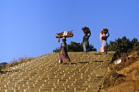 Women carrying firewood up the 3.500 steps to the temples of Shatrunjaya, Palitana, Gujarat, India, Asia