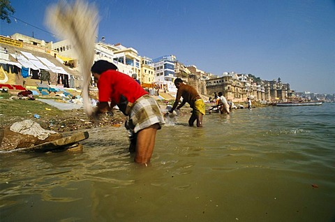 Dhobi wallahs or laundry men cleaning laundry in the river, Varanasi, Uttar Pradesh, India, Asia