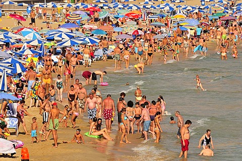 Bathers on Playa Levante beach, mass tourism, Benidorm, Costa Blanca, Spain, Europe