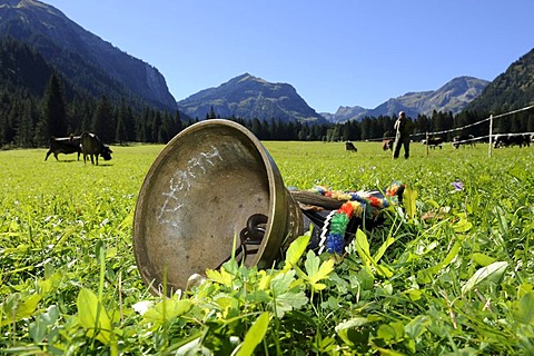 Cow bell lying in a meadow, for decoration of the cows for the cattle drive, Tannheim, Tannheimer Tal valley, Tyrol, Austria, Europe