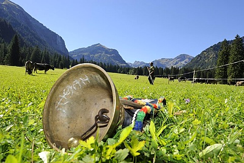 Cowbell to decorate the cows lying readily on a meadow, Almabtrieb, where the cattle are led back from their alpine pasture, Tannheim, Tannheimer Valley, Tyrol, Austria, Europe