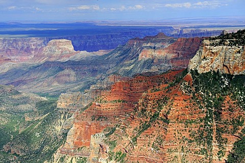 Grand Canyon North Rim at sunset, Arizona, USA